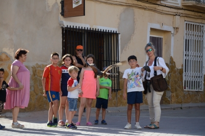 imagen actividad de cetrería