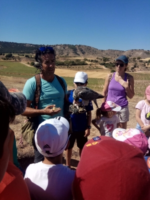 imagen actividad de cetrería