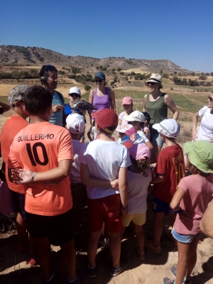 imagen actividad de cetrería