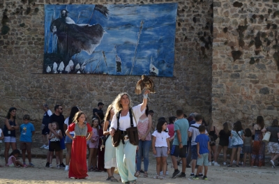 imagen actividad de cetrería